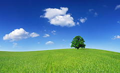 Forum de partenariat entre les associations environnementales