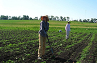 Conférence sur le thème de l'agriculture familiale
