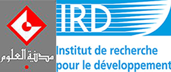 Les sciences arabes entre les VIIIe et XVIIIe siècles 